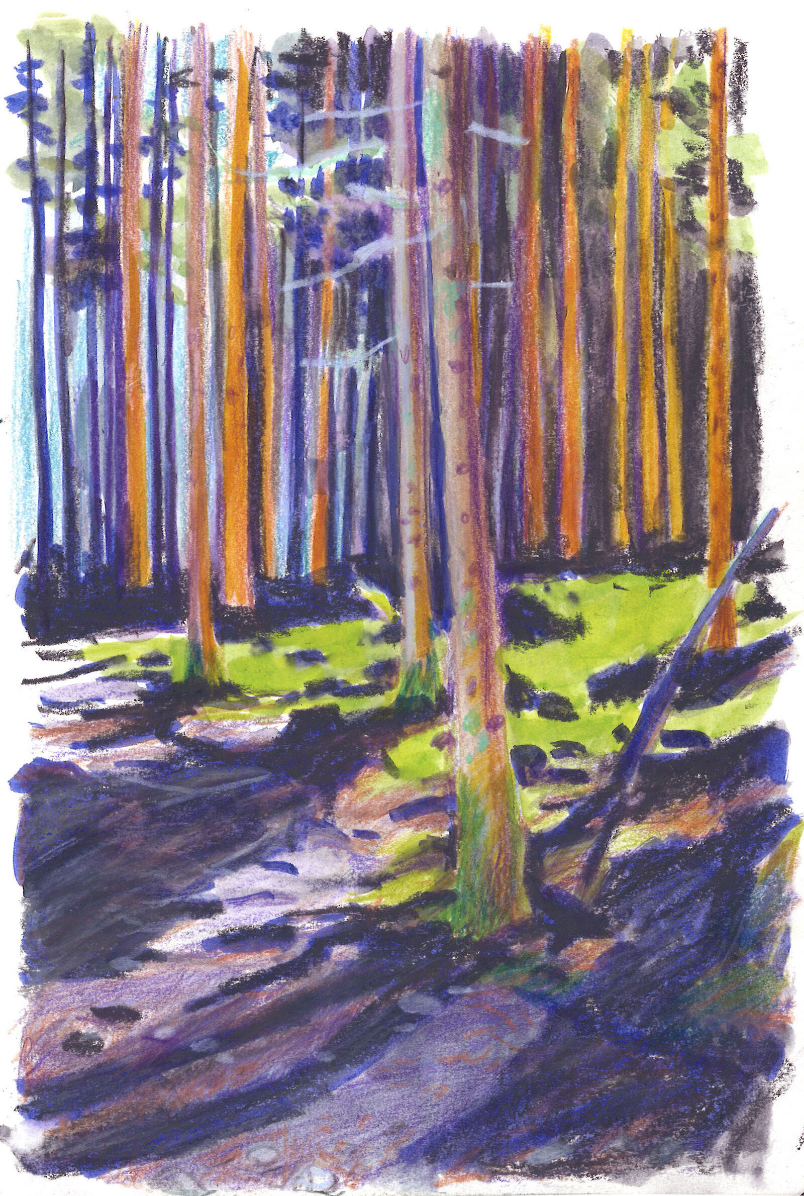 illustra-OliviaAloisi_Malerei_Kiental_08_1