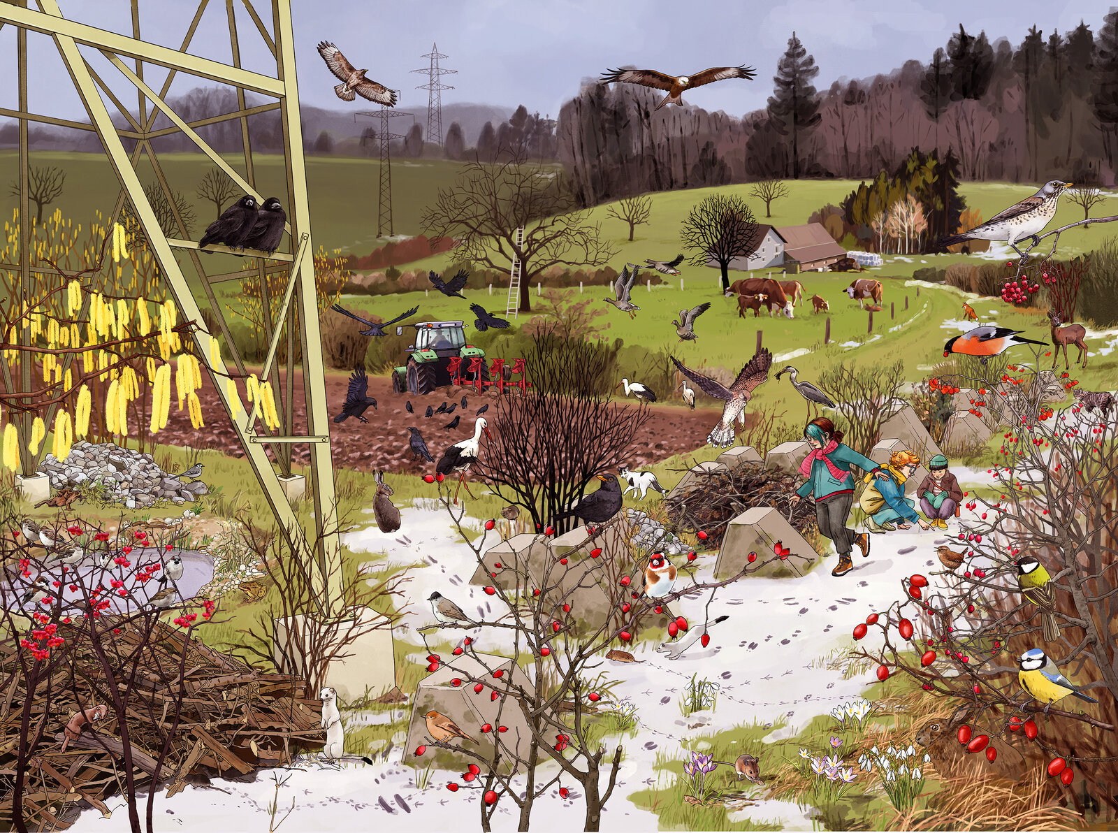 illustra-OliviaAloisi_ProNatura_Wimmelbuch_01_Kulturland