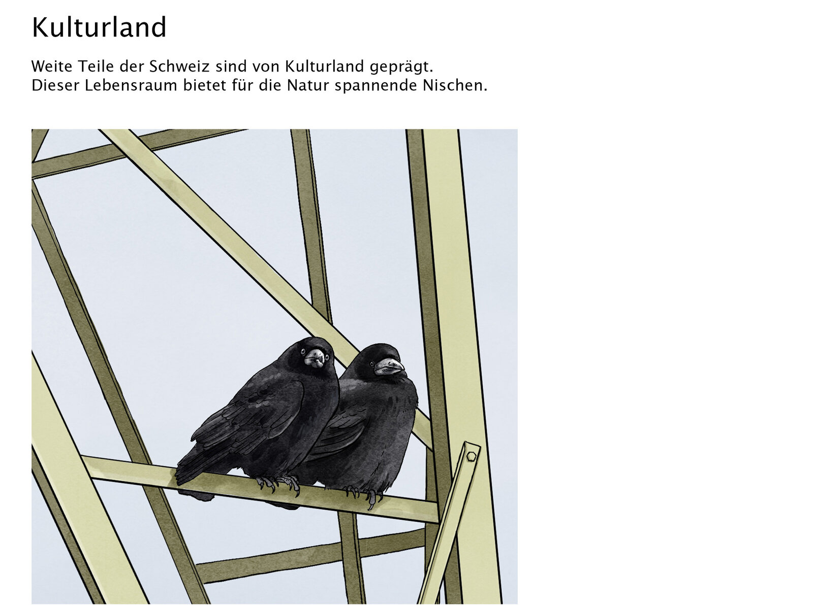 illustra-OliviaAloisi_ProNatura_Wimmelbuch_01_Titel