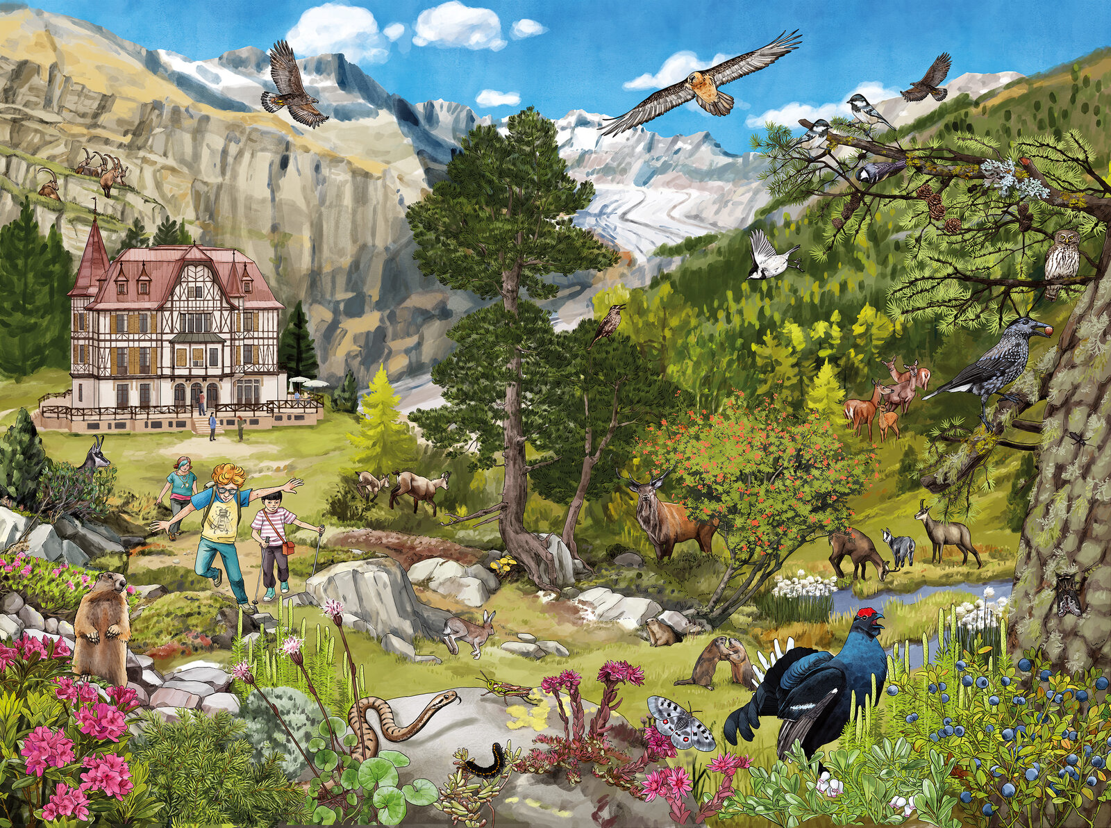 illustra-OliviaAloisi_ProNatura_Wimmelbuch_06_Gletscher