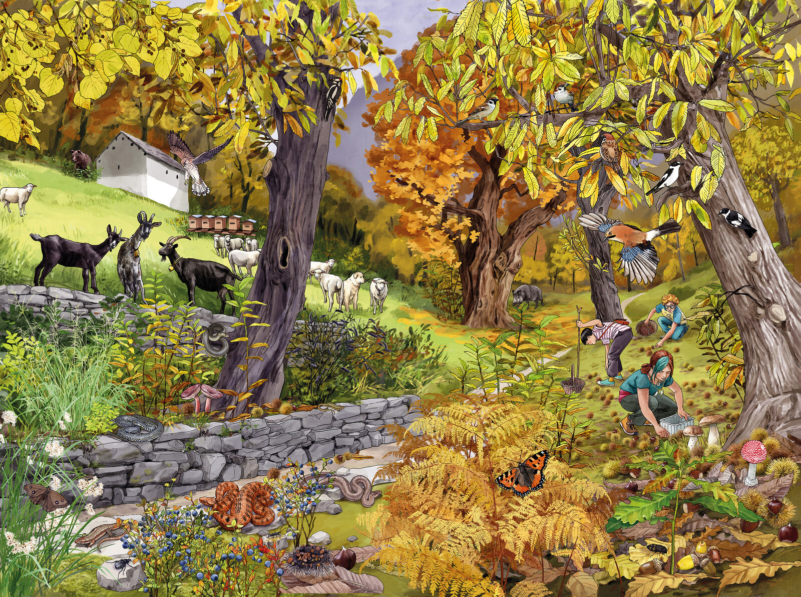 illustra-OliviaAloisi_ProNatura_Wimmelbuch_07_Tessin