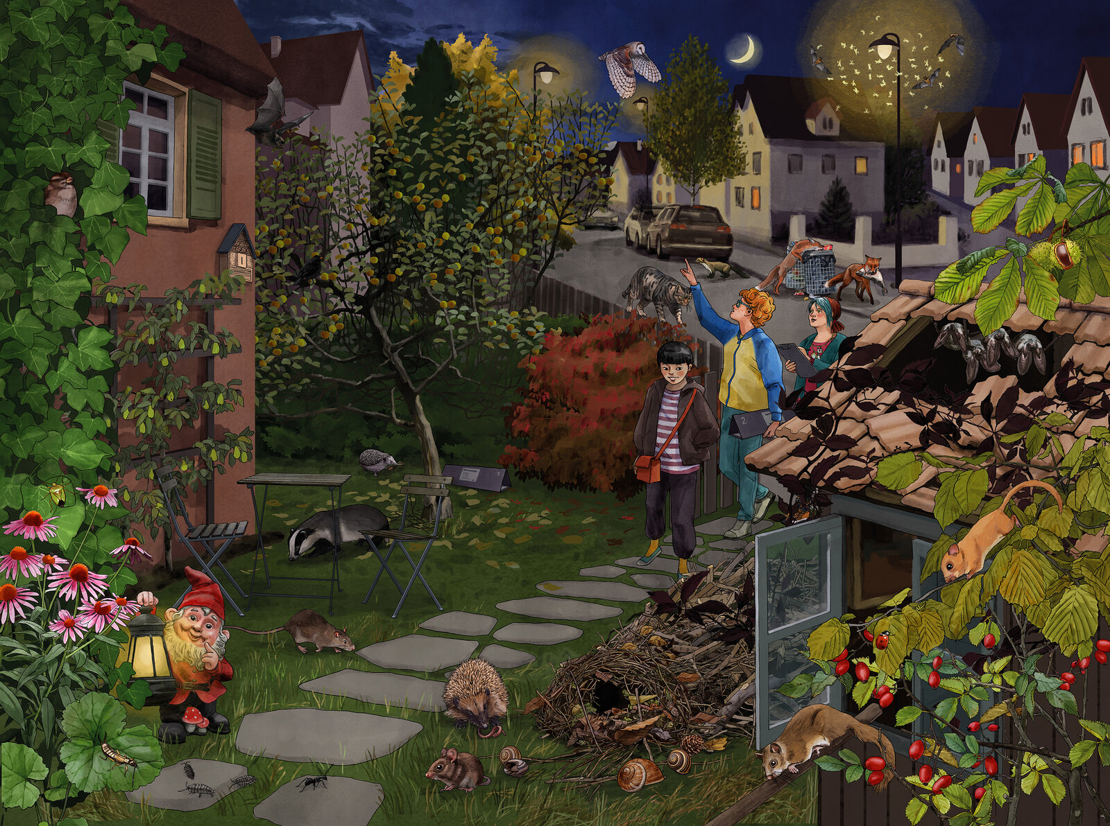 illustra-OliviaAloisi_ProNatura_Wimmelbuch_09_Siedlungsraum