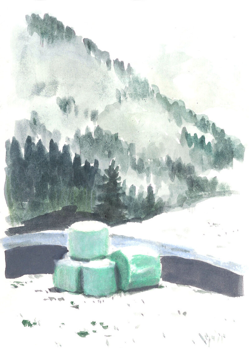 illustra-OliviaAloisi_Malerei_Kiental_02_1