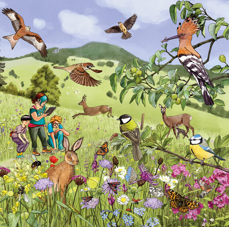 Pro Natura Wimmelbuch